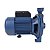 Motobomba Eletroplas Centrifuga Standard MCSE-100B 1CV Bivolt - Imagem 2
