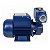 MotoBomba Eletroplas ICA-50AB Auto-Aspirante 1/2hp 60hz Bivolt - Imagem 2