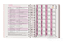 Caderneta de Vacinação Personalizada - Safari Rosa | VERSÃO CLEAN - Imagem 4