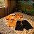 Conjunto masculino camisa estampa dinossauros na cor laranja e bermuda preta interativa - Imagem 2