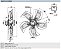 Ventilador motor axial 800mm 3F 220/380-480 vac sem coifa e sem grade A6D800GE0503 - EBM - Imagem 2