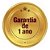 Caixa De Som Amplificada Bluetooth Sem Fio Mondial 50w Radio Cor Preto 110v/220v - Imagem 7