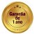 Chaleira Elétrica Térmica Ce-06 Pratic Inox 2 Litros Mondial Cor Preto E Inox 127v - Imagem 5