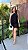 Vestido Isis - Imagem 3
