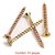 Parafuso Chipboard Fenda Philips 5,0x60mm 10 Peças Sforplast - Imagem 3