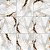 Piso Cerâmico Retificado Polido 82x82cm Damasco Caixa 2,70m² Rochamaxx - Imagem 3