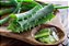 Aloe Vera Cáps 500mg 100% Puro E Natural - Imagem 2
