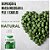 Chlorella Pura - Legítima 500mg 60 cap100% Natural - Imagem 6