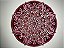 Mandala da Cura do Chacra Cardíaco - Transmutação através do amor - Imagem 1