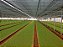Tela Sombrite para Horta Hortaliças 50% 6x10 - Imagem 3