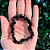 PULSEIRA DE OBSIDIANA – Proteção e Limpeza Energética - Imagem 2