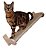 Conjunto Deck - Imagem 7