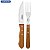 Jogo para Churrasco Tramontina Dynamic com Lâminas em Aço Inox e Cabos de Madeira Natural 12 Peças - Imagem 3