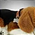 Cachorro de pelúcia que Respira - Beagle - Perfect Petzz - Imagem 3