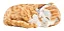 Gato Que Respira Orange Tabby Perfect Petz Com Pilha - Imagem 4