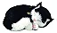 Gato Petzzz Pelucia Filhote Preto E Branco com pilha - Imagem 3