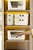 Organizador com Tampa 26x10x8 Cm Fly 1,5 Lts Paramount - Imagem 6