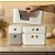 Organizador com Tampa 26x10x8 Cm Fly 1,5 Lts Paramount - Imagem 4