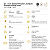 VDP Village Riesling⎥Bassermann-Jordan⎥PFALZ⎥Deidesheimer - Imagem 2
