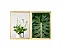 Conjunto Kit 02 Quadros Decorativos Flor Branca e Folha Verde - Imagem 1