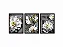 Conjunto Kit 03 Quadros - Trio Floral Branco - Imagem 1