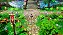 Jogo Dragon Quest I & II HD-2D Remake - Nintendo Switch - Mídia Física - Imagem 3