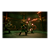 Jogo The Legend of Zelda: Ocarina of Time - Switch 2 - Mídia Física - PRÉ-VENDA IMPORTADA - 1º LOTE - Imagem 5