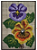 Tela para Bordar – Flores Amor Perfeito - Imagem 1