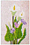 Tela para Bordar – Mix de flores 11185 - Imagem 1