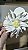 Presilha Flor Edelweiss - Imagem 3