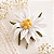 Presilha Flor Edelweiss - Imagem 2