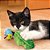Brinquedo Kong Flingaroo Caterpillar - Imagem 4
