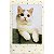 Filme Instax Mini Sprinkles para 10 Fotos - Fujifilm - Imagem 3