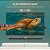 Cabo DisplayPort 1.2 4K 60Hz e 3D de 2 metros - Ugreen DP102 / 10211 - Imagem 2