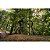 Lente Ultra Grande Angular Viltrox AF 14mm F/4.0 FE Full-Frame para Câmeras Sony E-Mount - Imagem 8