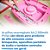 Pilha Recarregável Philips AA Comum com 2 unidades 2500mAh - R6B2RTU25/59 - Imagem 3