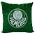 Almofada Time Brasileiro Palmeiras Bicampeao Da America - Imagem 1