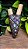 Kuripe Cristais - Imagem 1
