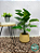 Folhagem Alocasia Artificial 75cm com Toque Real - Imagem 1