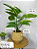 Folhagem Alocasia Artificial 75cm com Toque Real - Imagem 3