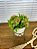 Cachepot OffWhite com Suporte e Planta Artificial - Imagem 4