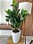 Árvore Ficus Elástica Artificial 95cm Vaso Polietileno Branco - Imagem 3