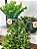 Planta Artificial Pendente + Vasinho Preto Cerâmica com Verdinho - Imagem 4