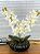 Arranjo de Orquídea Cymbidium 2 Hastes Artificial Branca Vaso Preto - Imagem 1