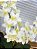 Arranjo de Orquídea Cymbidium 2 Hastes Artificial Branca Vaso Preto - Imagem 3