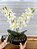 Arranjo de Orquídea Cymbidium 2 Hastes Artificial Branca Vaso Preto - Imagem 2