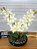 Arranjo de Orquídea Cymbidium 2 Hastes Artificial Branca Vaso Preto - Imagem 5