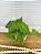 Arranjo Plantinha Artificial Caída 23cm Vaso Cimento - Imagem 5