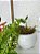 Planta Pendente Artificial Samambaia 55cm Vaso Cerâmica Branco - Imagem 5