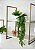 Planta Artificial Pendente 60cm + Vasinho Cerâmica com Verdinhos - Imagem 3